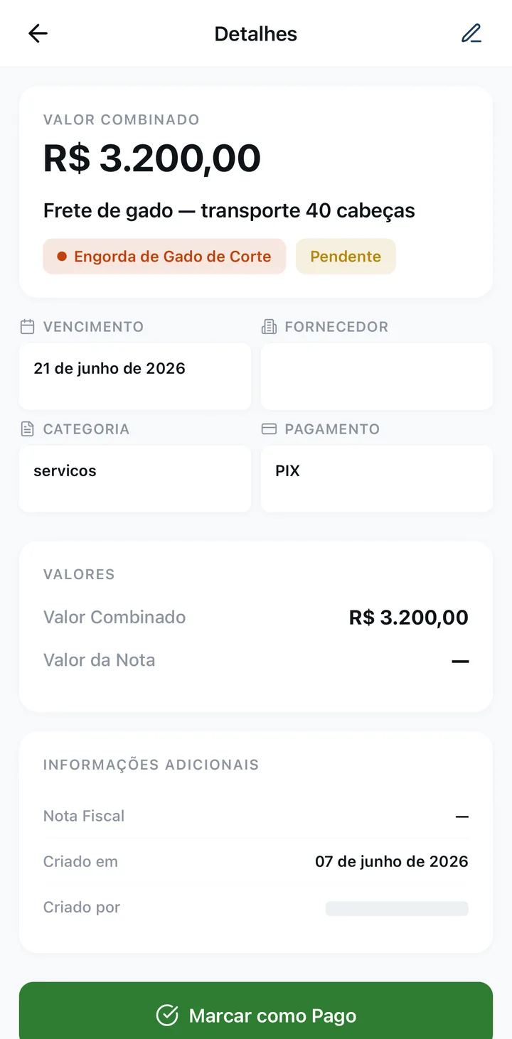 Tela de detalhe de um lançamento no app Rumo Operacional: valor, operação, vencimento, categoria e forma de pagamento